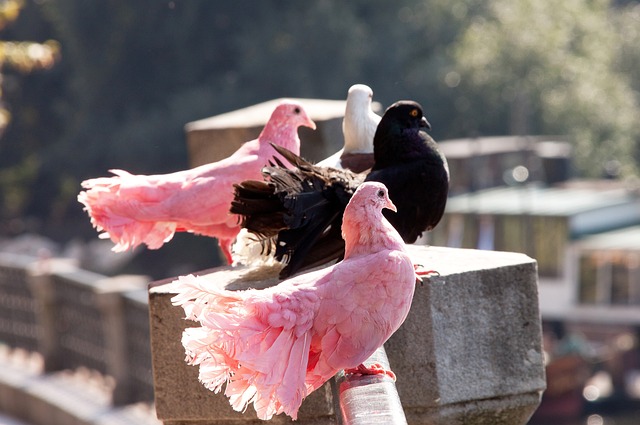 剑南春丨拜仁让二追六6-2逆转弗赖堡，奥利塞2射3传，卡尔传射