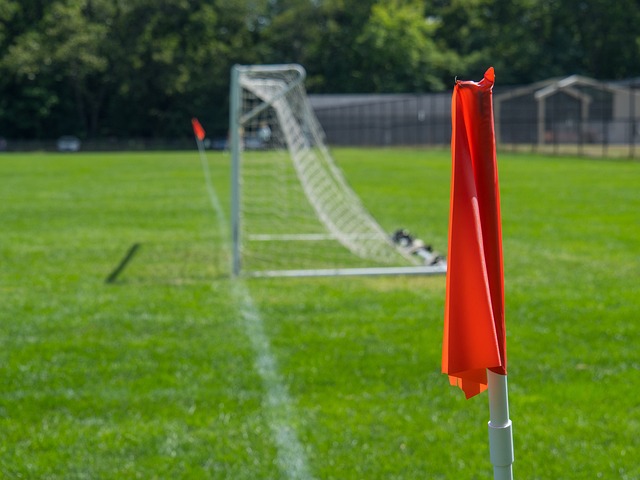 了浓墨重彩 了浓墨重彩