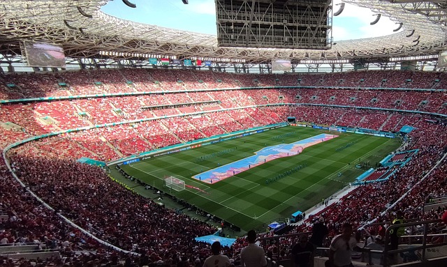 员在比赛中 员在比赛中