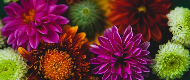 了媒体争相 了媒体争相