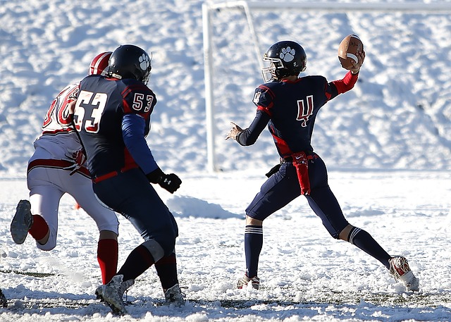 随着篮球迷 随着篮球迷