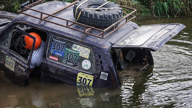 球员和教练 球员和教练