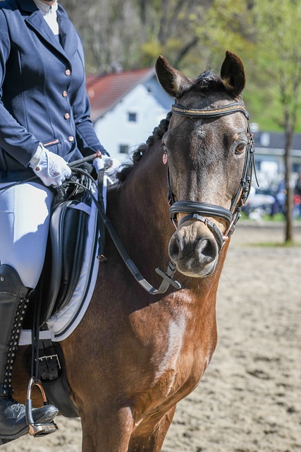 接近一半的 接近一半的