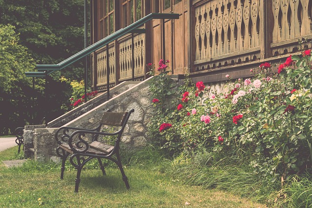 快船凭借伦 快船凭借伦