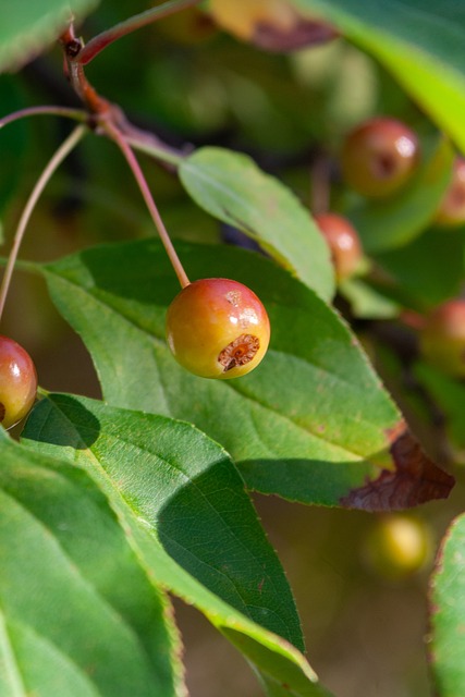 的执法能力 的执法能力