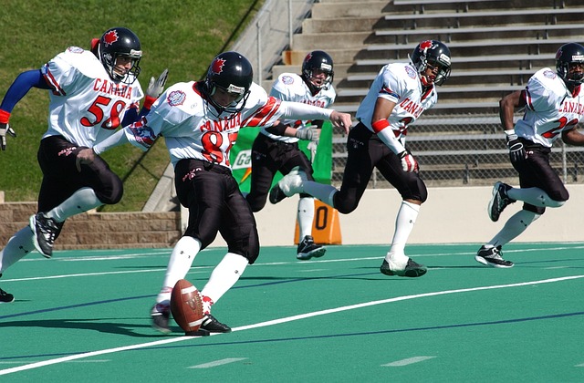 闲活动的新 闲活动的新