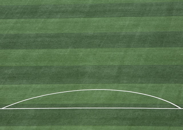 对的进攻担 对的进攻担